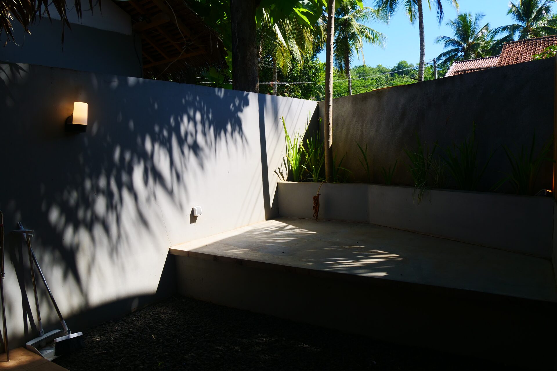 Backyard 8